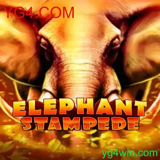 ElephantStampede: Mergulhe no Fascinante Mundo dos Elefantes